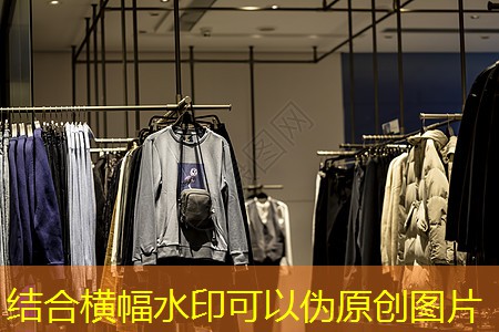 广水市政绿化树木品种分类